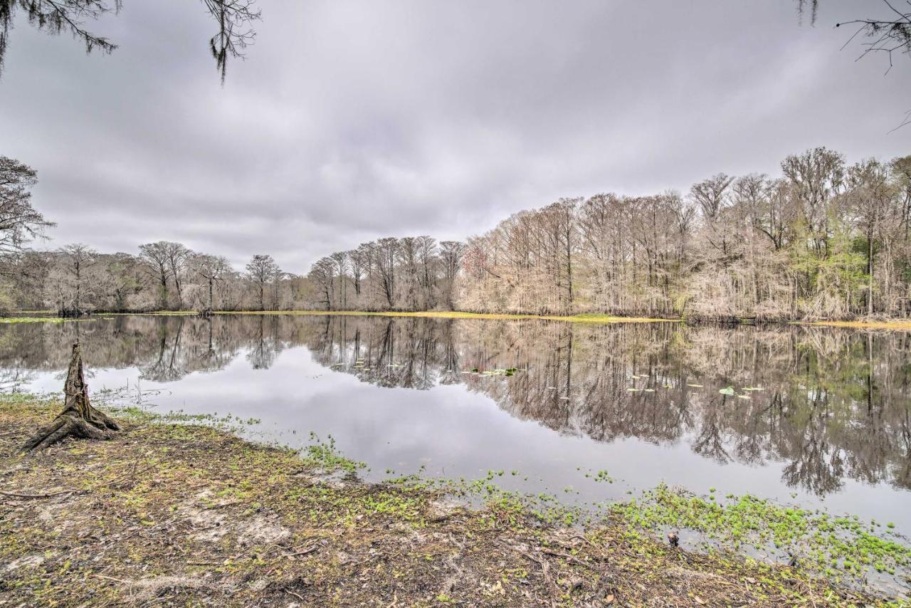 Unplugged Withlacoochee Riverfront Retreat! Bushnell Εξωτερικό φωτογραφία